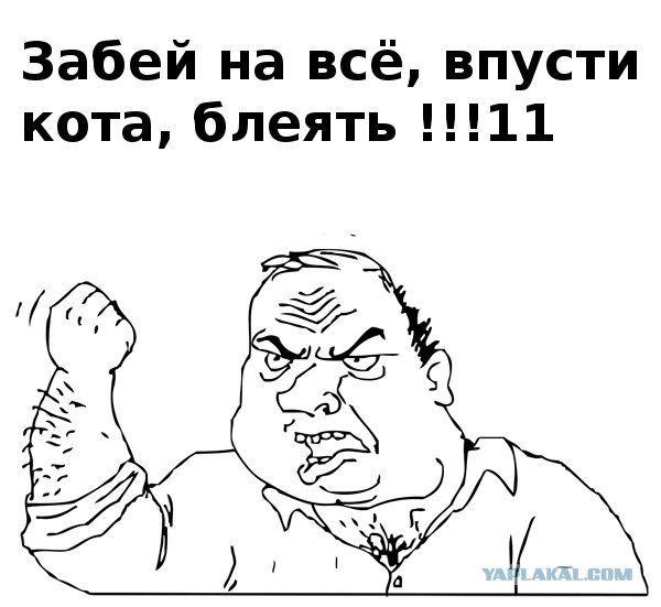 Не впускайте кота в парикхмахерскую)))