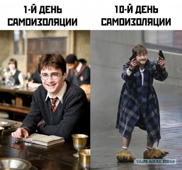Мои картинки за 2020