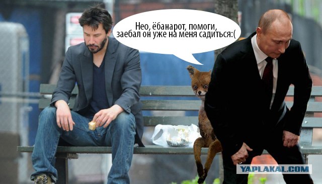 Фотожаба: Эк его раскорячило!