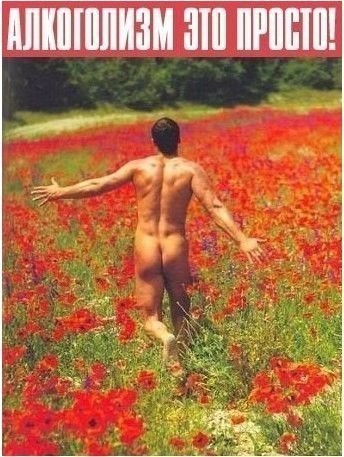 Алкопитница