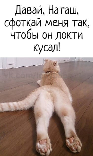 Картинки и мемы для настроения 020