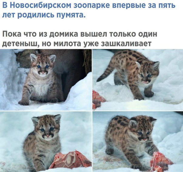Так себе картинки 19.06.21