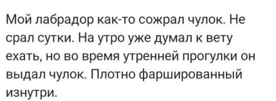Веселые засранцы