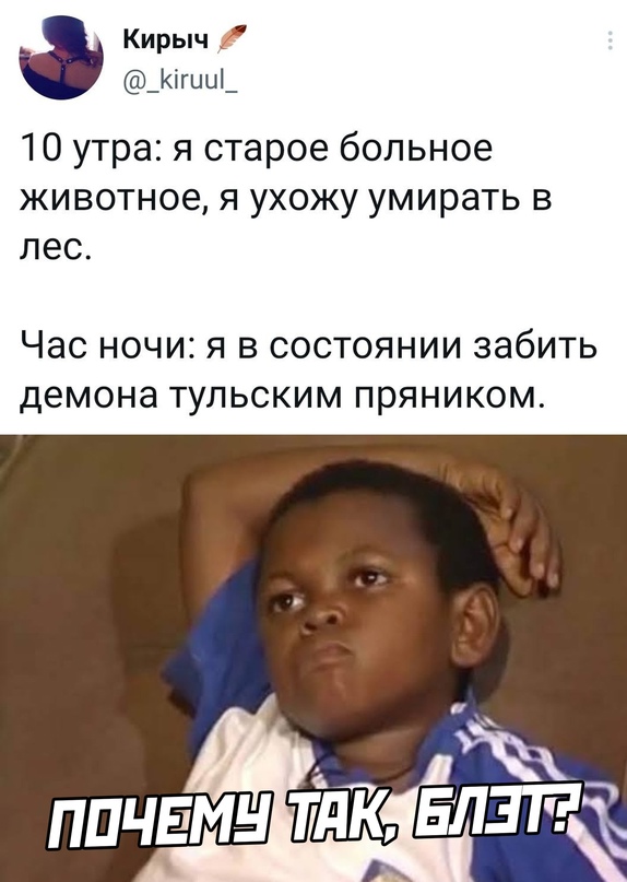 Весёлый полтишок 31.08