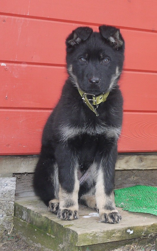 Когда то я была меньше кота, а теперь мы друзья