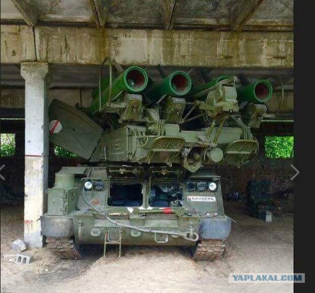 Отец погибшей при крушении «Боинга» МН17 девушки обратился к Владимиру Путину