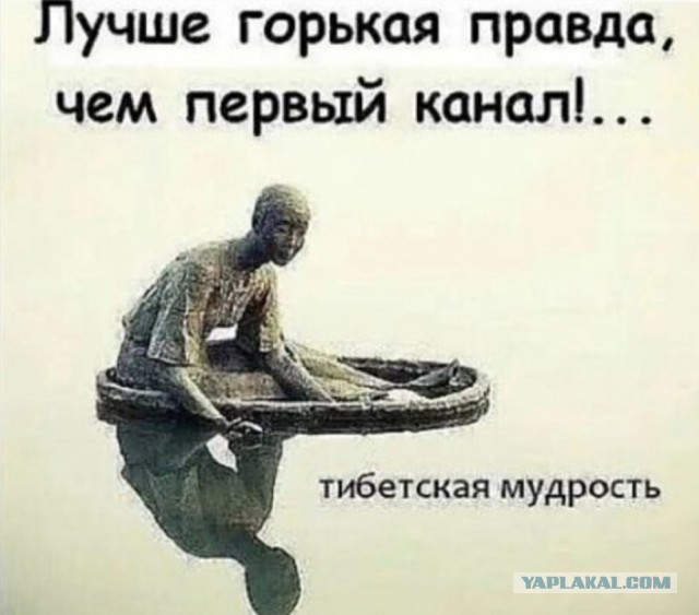 Комиссия при Роскомнадзоре предложила приравнять ЛГБТ, фурри и чайлдфри к экстремистским движениям
