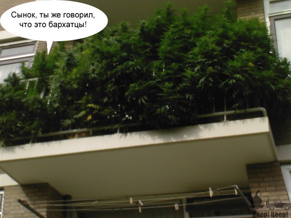 Следуйте за мной