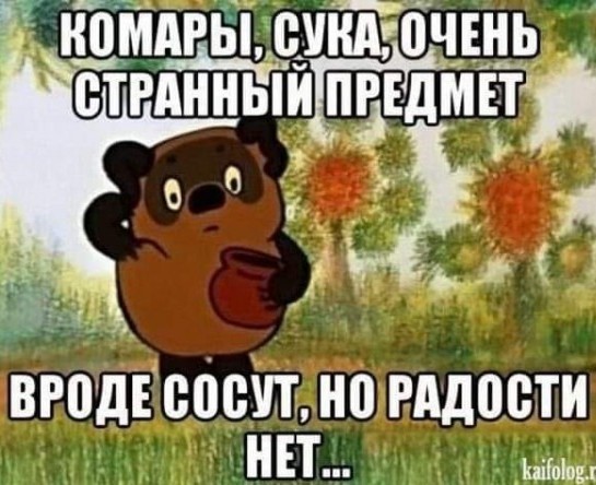 Хочешь утром вылезти из палатки, а там... медведь