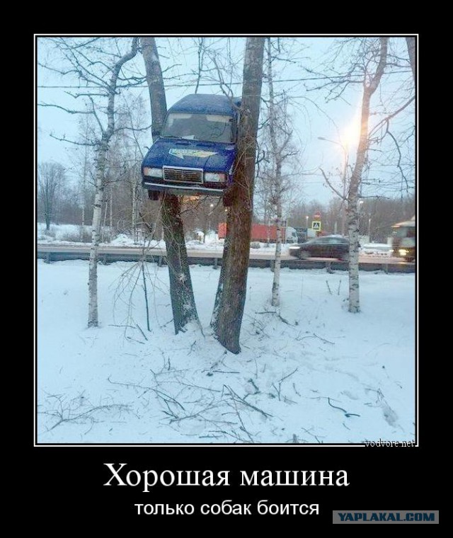 Весёлый полтишок 20.04.22