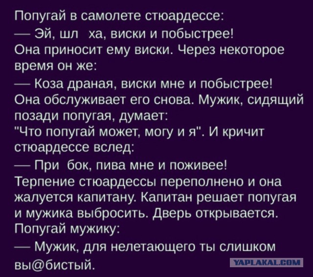 Так себе картинки 20.04.22