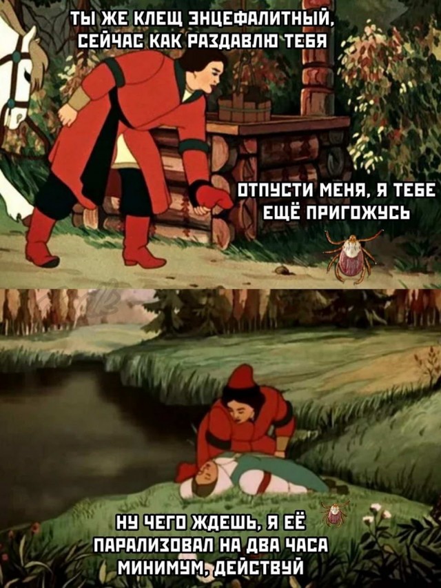 Так себе картинки 31.05.22