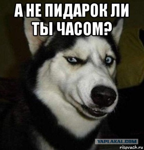 «Газпром» отказался прогнозировать ситуацию с «Северным потоком»
