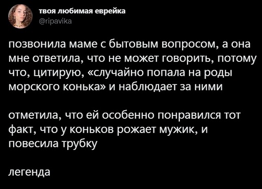 3 этапа жизни