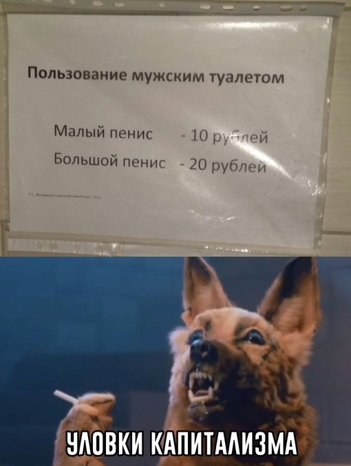 Картинки и мемы. Выходные близко...