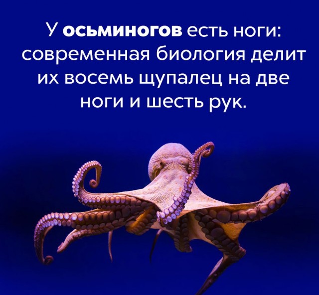 Подборка бесполезных,но интересных фактов.