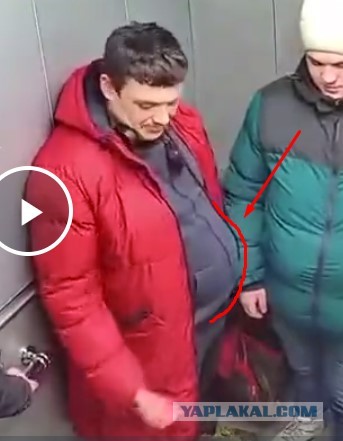 Быдло в лифте