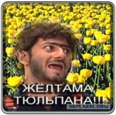 Вообщем мой мужчина на меня обиделся за 23