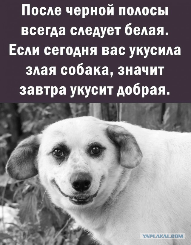 Напишите пожалуйста что-то хорошее