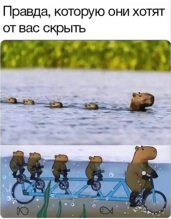 Картинки разные с надписями и без