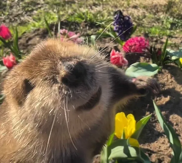 ФотоВинегрет