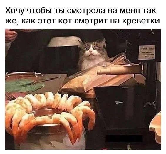 Так себе картинки 08.11.24