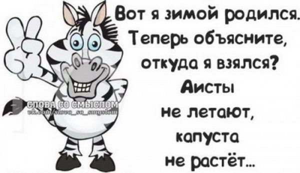 Картинки и буквы 06.12.24