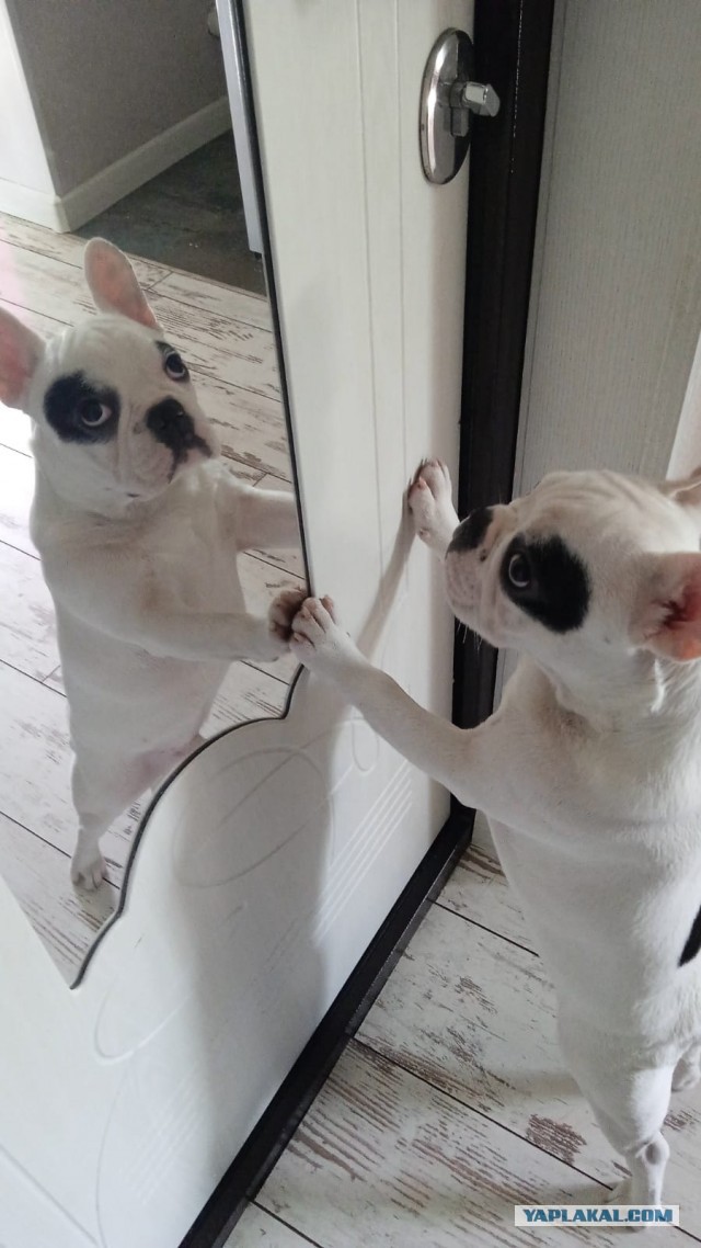 От нашего столика