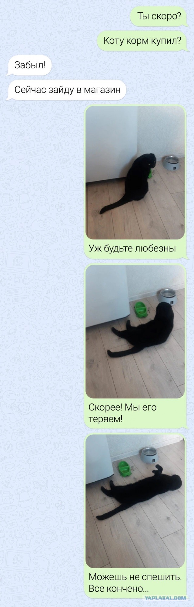 Так себе картинки 11.08.25