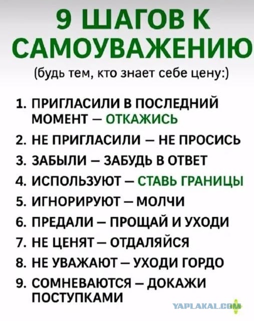 Прикольные и просто красивые картинки 12.12.2025