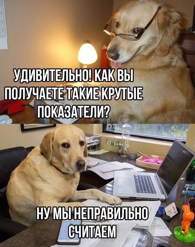 В московских МФЦ отменили негативные отзывы