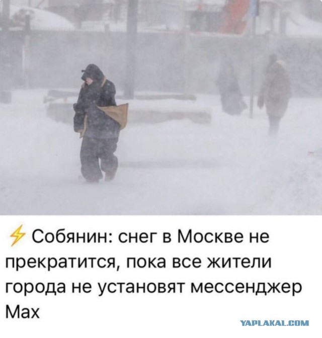 Веселые картинки в пятницу