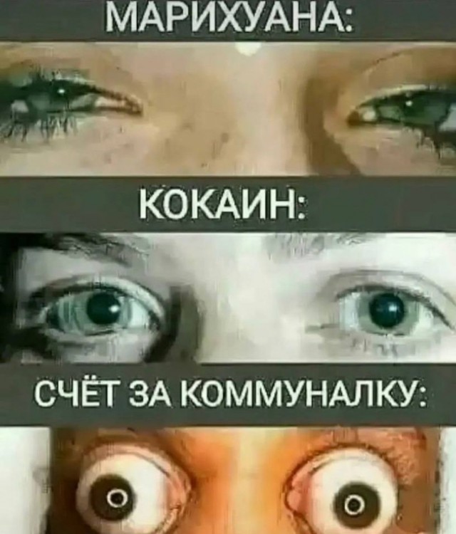 Веселые картинки в маленькую пятницу(25.03)