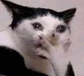 Хорошо зафиксированная женщина