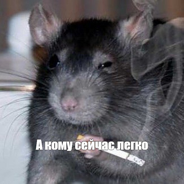Российскому фондовому рынку очень плохо....