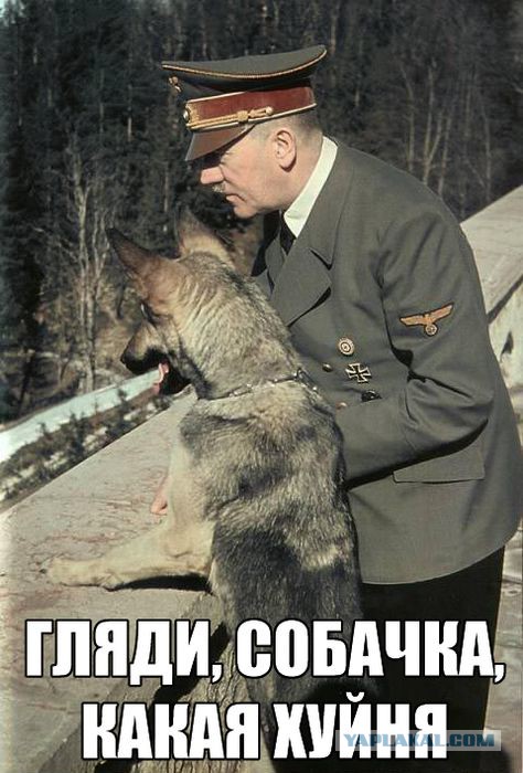 Для тех кто думает что милиция младенцы