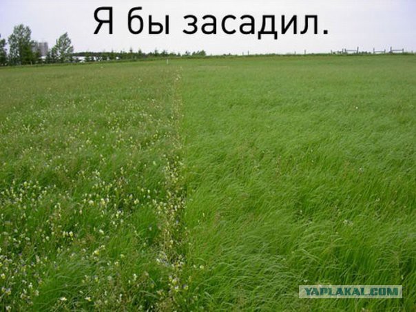 Любителям хитросплетений русского языка