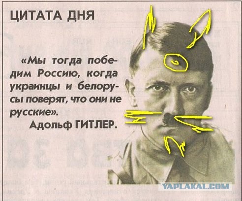 Последние новости из Украины от Яценюка
