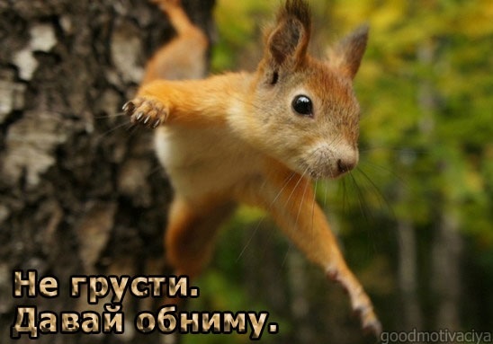 Импровизация, бачата