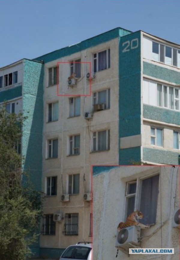 Между тем в России