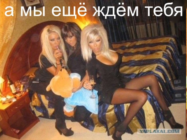 Настоящий мачо и неукротимый самец