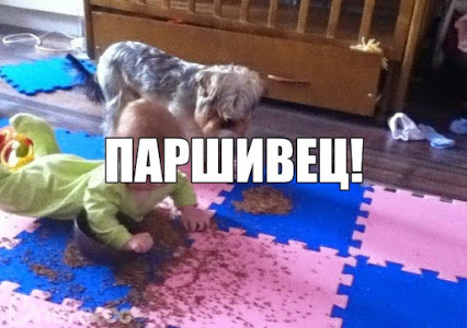 Гречка в глазах у инет-пользователей (блогеров)