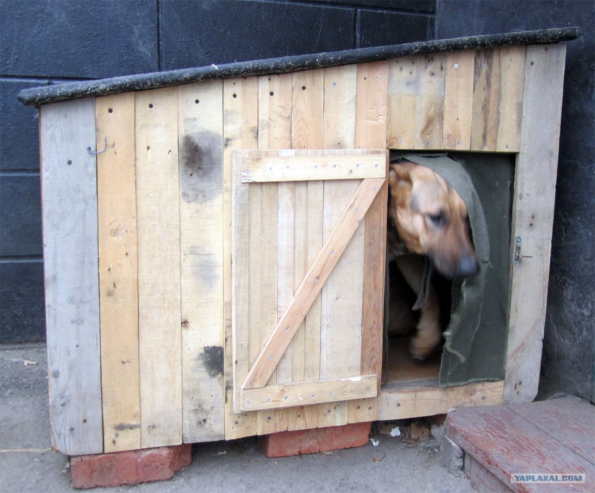 Fallout 4 как создать будку для собаки фото 70