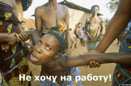 Минутка толерантности
