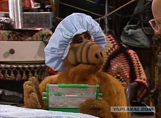 Парня уволили с работы за то, что он приклеил фото