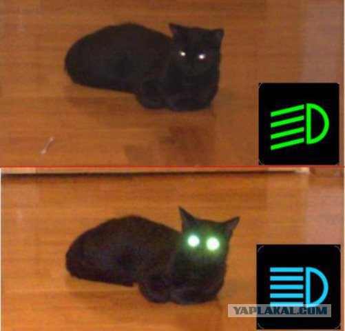 Случайно ночью нашел