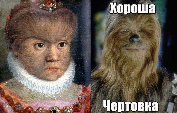 Картинки из сети
