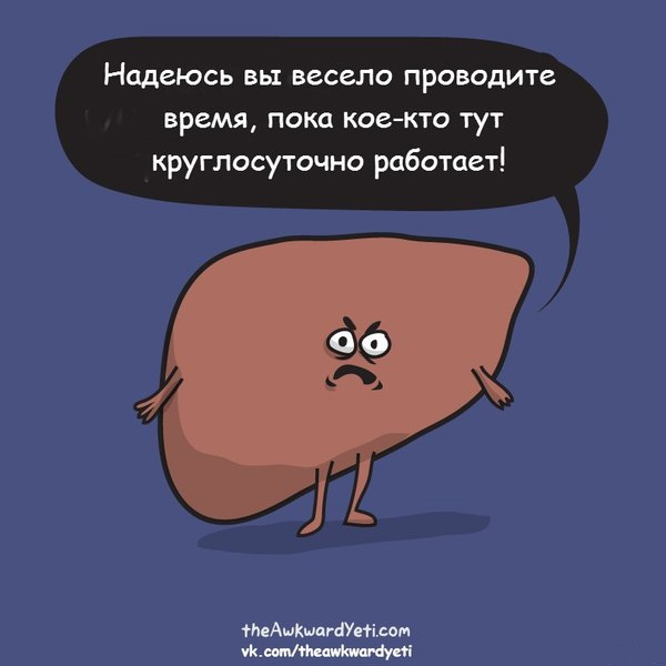 Забавные картинки из Сети