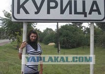 McDonalds яйца
