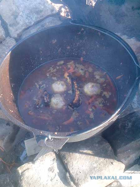 Кулинарный туризм.